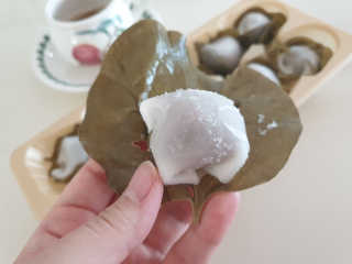 탱이맘님이 올린 리뷰 사진 3
