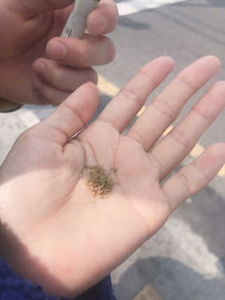 타임인네이처 [time in nature] 바른정 30포 — 4.5점을 준 리뷰어가 2019년 5월 올린 사용 사진
