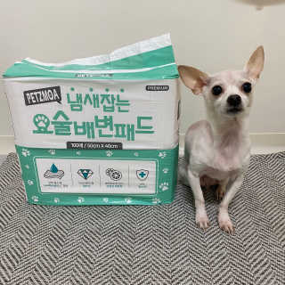 페츠모아 냄새잡는 요술배변패드 — 5점을 준 리뷰어가 2020년 3월 올린 사용 사진