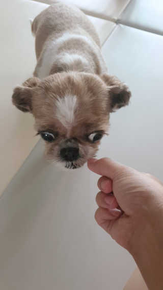 기룡이님이 올린 리뷰 사진 3
