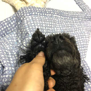 엄디님이 올린 리뷰 사진 3
