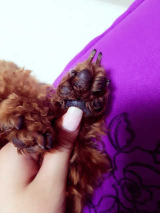 김은지님이 올린 리뷰 사진 4