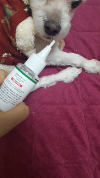 안녕하세여님이 올린 리뷰 사진 3