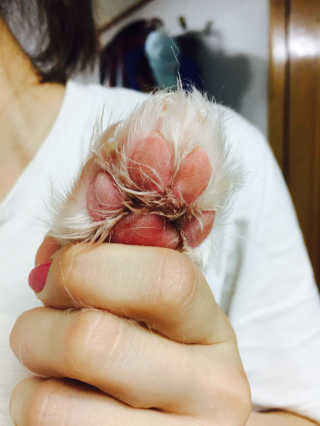 YunkyoungCho님이 올린 리뷰 사진 3