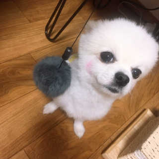 백설님이 올린 리뷰 사진 2