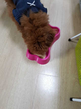 KimJiyul님이 올린 리뷰 사진 2