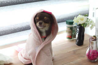 겸이님이 올린 리뷰 사진 1