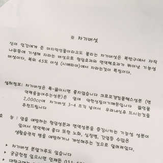 프로밍님이 올린 리뷰 사진 3