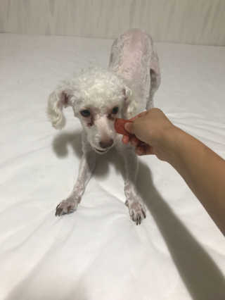 박지연님이 올린 리뷰 사진 2