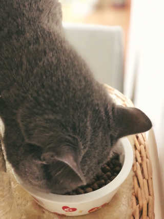 은쓸님이 올린 리뷰 사진 2