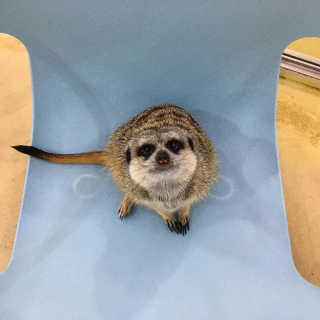 J일상님이 올린 리뷰 사진 1