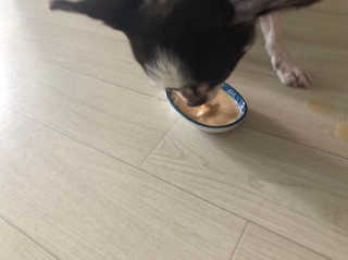 띠띠님이 올린 리뷰 사진 3