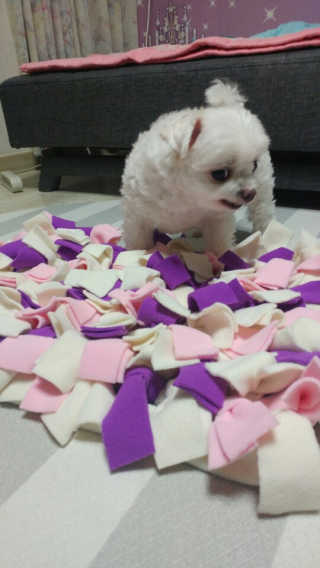 Jaehoon.y님이 올린 리뷰 사진 1