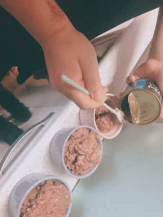 [펫토리아] 한캔뚝딱 강아지 주식캔 12종 콤보 — 5점을 준 리뷰어가 2019년 8월 올린 사용 사진
