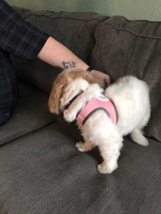 kandihix님이 올린 리뷰 사진 3
