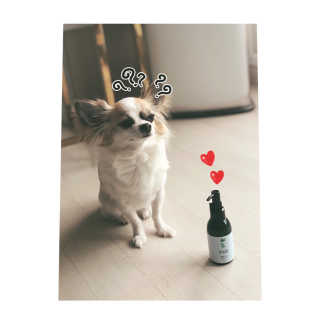 은쓸님이 올린 리뷰 사진 1