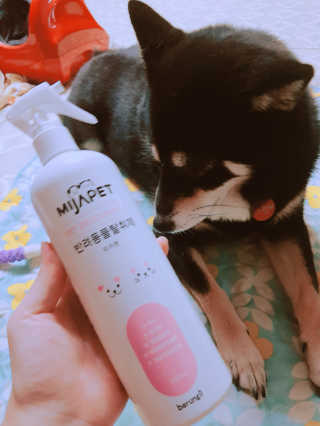 찡구님이 올린 리뷰 사진 1