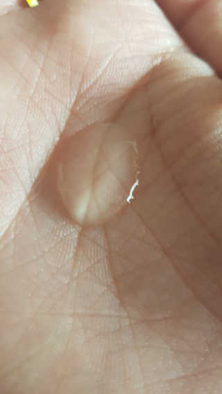 규마마님이 올린 리뷰 사진 2