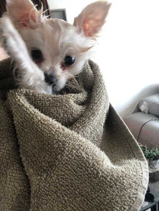 샤맘님이 올린 리뷰 사진 3