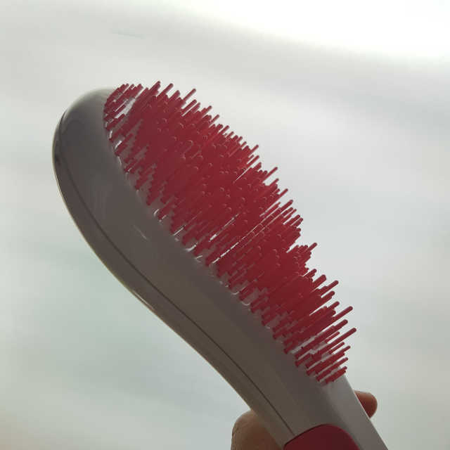 미쉘메르시에 스파 디탱글링 브러쉬 리뷰 사진