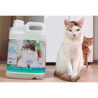 minahjjing님이 올린 리뷰 사진 1