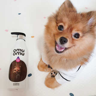은선이짱님이 올린 리뷰 사진 1