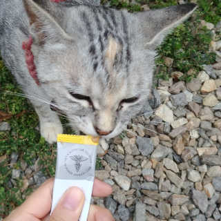 나기님이 올린 리뷰 사진 3
