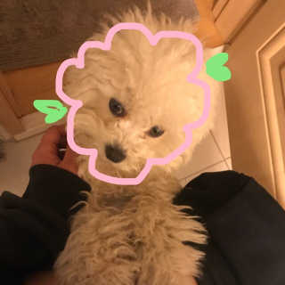 박리뷰왕님이 올린 리뷰 사진 1