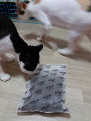됴이님이 올린 리뷰 사진 4