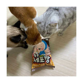 헬로샤샤님이 올린 리뷰 사진 1