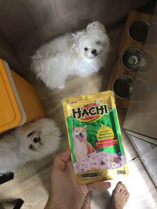 [펫토리아] 토로토로 하치  강아지 파우치간식 — 5점을 준 리뷰어가 2019년 6월 올린 사용 사진