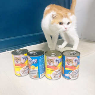 효정님이 올린 리뷰 사진 3