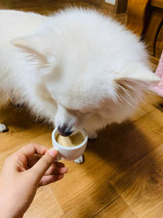 닥터할리펫밀크 8종 — 4점을 준 리뷰어가 2019년 12월 올린 사용 사진