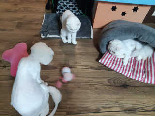 좋아님이 올린 리뷰 사진 1