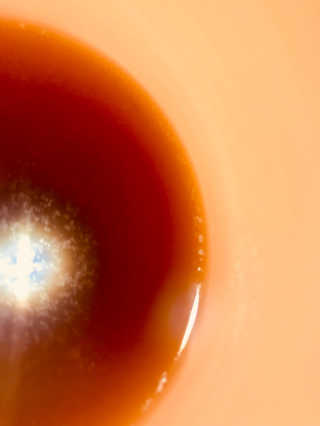 dmriojas님이 올린 리뷰 사진 4