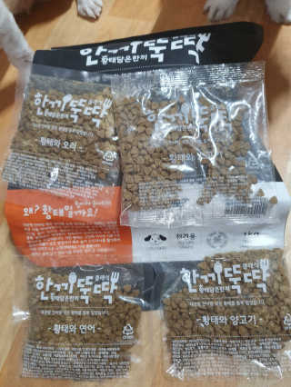 펫토리아 한끼뚝딱 클래식 국산 건식사료 — 4점을 준 리뷰어가 2019년 7월 올린 사용 사진