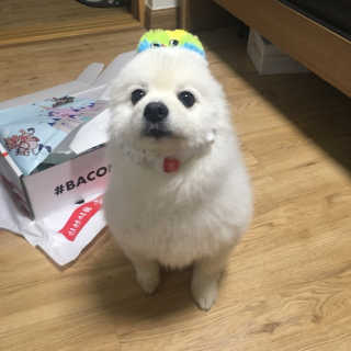 쭈님이 올린 리뷰 사진 1