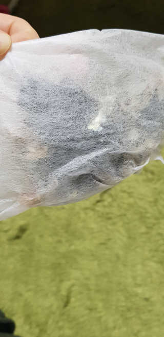 백의천사8212님이 올린 리뷰 사진 2