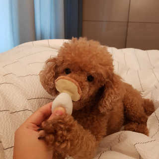 EunjinJang님이 올린 리뷰 사진 3
