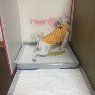 당근님이 올린 리뷰 사진 2