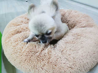 heeyaa88님이 올린 리뷰 사진 2