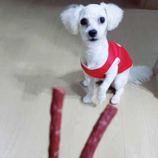 뽀블리님이 올린 리뷰 사진 2