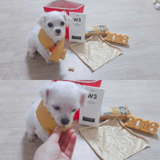 빡찌님이 올린 리뷰 사진 2