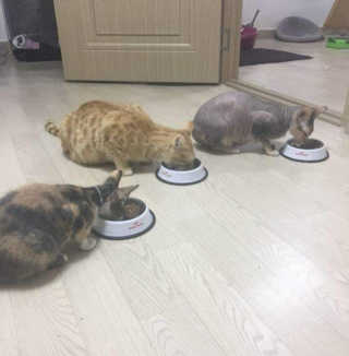 나린마마님이 올린 리뷰 사진 4