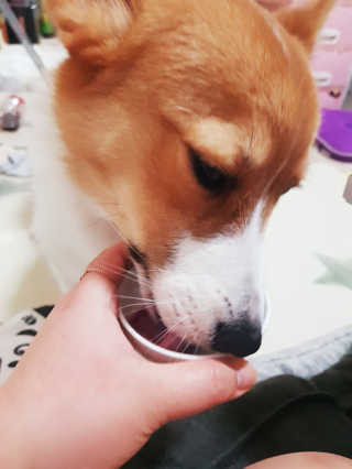 콜보리님이 올린 리뷰 사진 3