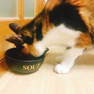 예콩님이 올린 리뷰 사진 1