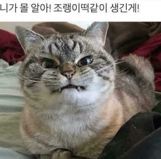 탱이님이 올린 리뷰 사진 2