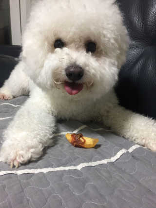 우키키님이 올린 리뷰 사진 3
