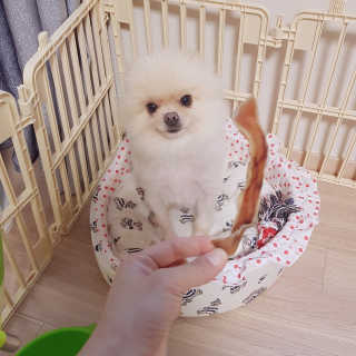 noname님이 올린 리뷰 사진 2