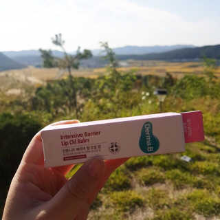 주뽀님이 올린 리뷰 사진 1